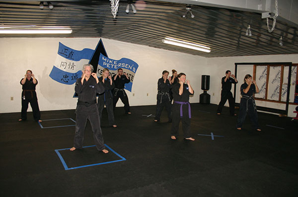 Kempo Karate Adult Class Strenght and Conditioning