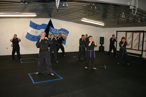 Kempo Karate Adult Class Strenght and Conditioning