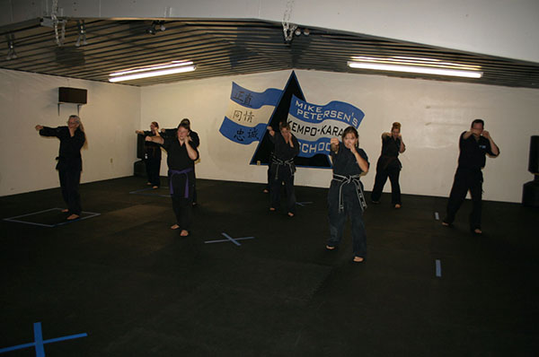 Kempo Karate Adult Class Strenght and Conditioning