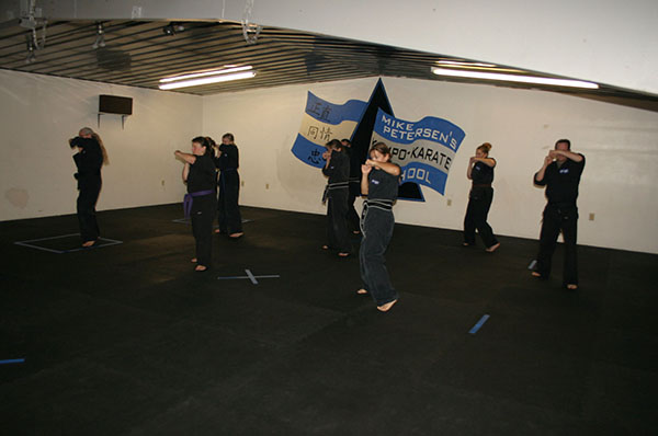 Kempo Karate Adult Class Strenght and Conditioning