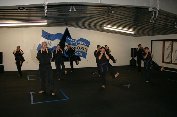 Kempo Karate Adult Class Strenght and Conditioning
