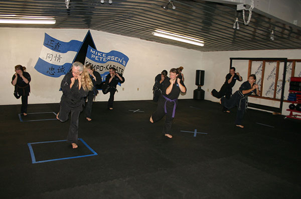 Kempo Karate Adult Class Strenght and Conditioning