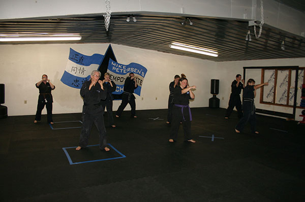 Kempo Karate Adult Class Strenght and Conditioning