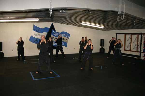 Kempo Karate Adult Class Strenght and Conditioning