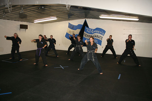 Kempo Karate Adult Class Strenght and Conditioning