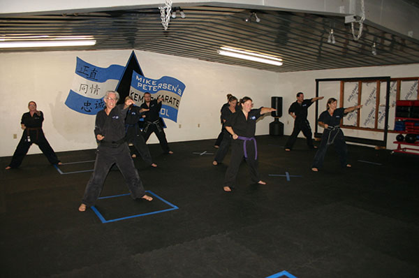 Kempo Karate Adult Class Strenght and Conditioning