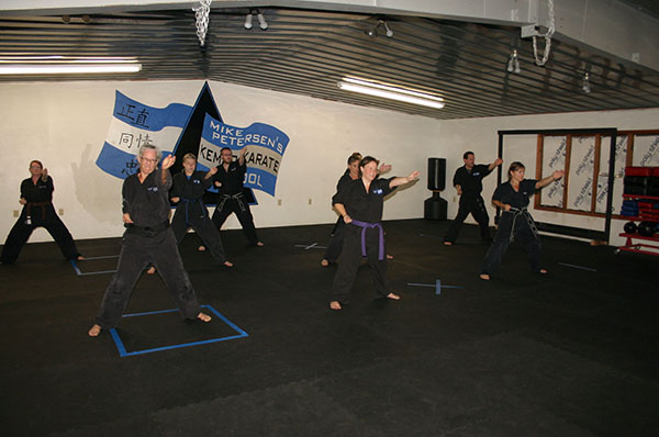 Kempo Karate Adult Class Strenght and Conditioning