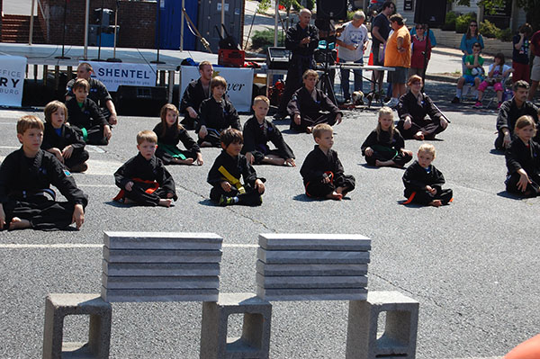 Kempo Karate Demo Little Dragons