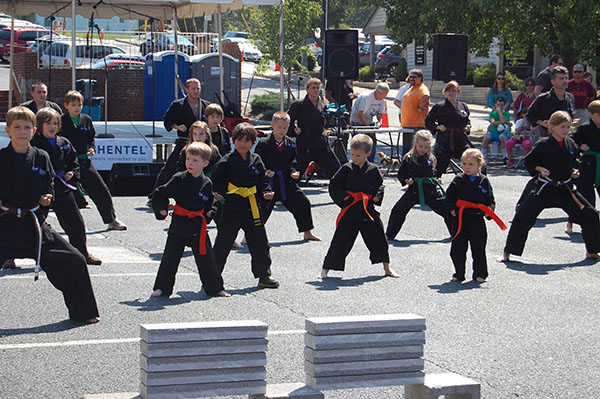 Kempo Karate Demo Little Dragons