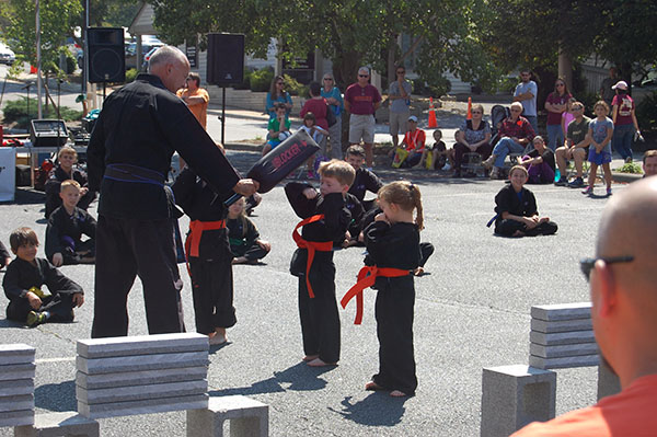 Kempo Karate Demo Little Dragons