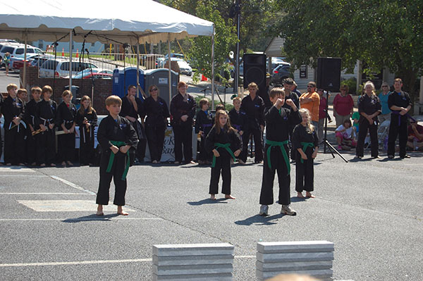 Kempo Karate Demo Kids Class Punching Form