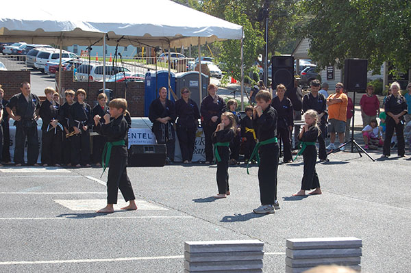 Kempo Karate Demo Kids Class Punching Form
