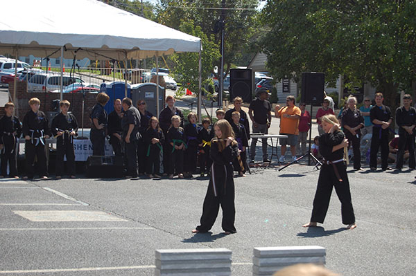 Kempo Karate Demo Kids Class Punching Form