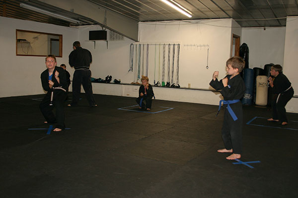 Kempo Karate Kids Class Punching and kicking drills