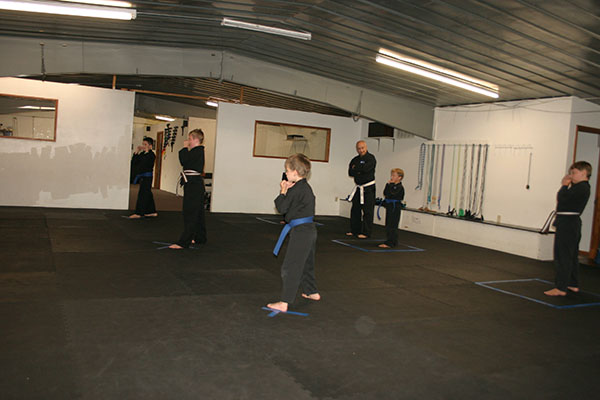 Kempo Karate Kids Class Punching and kicking drills