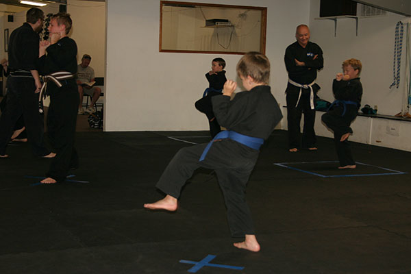 Kempo Karate Kids Class Punching and kicking drills