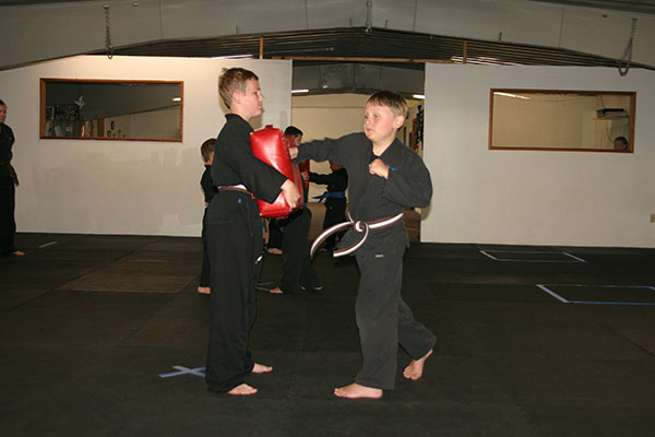 Kempo Karate Kids Class Punching and kicking drills