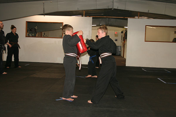 Kempo Karate Kids Class Punching and kicking drills