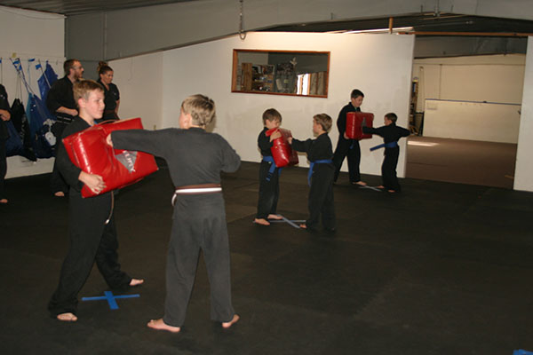 Kempo Karate Kids Class Punching and kicking drills