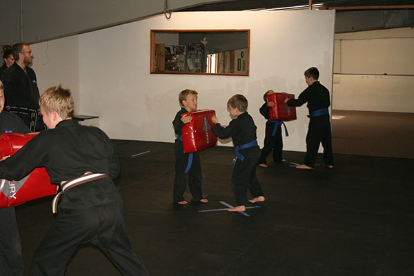 Kempo Karate Kids Class Punching and kicking drills