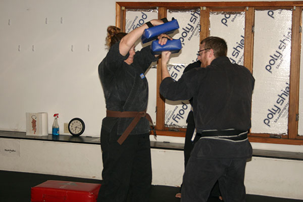 Kempo Karate Kids Class Punching and kicking drills