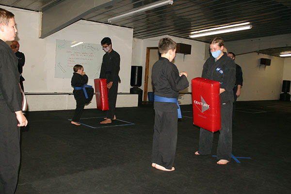 Kempo Karate Kids Class Punching and kicking drills