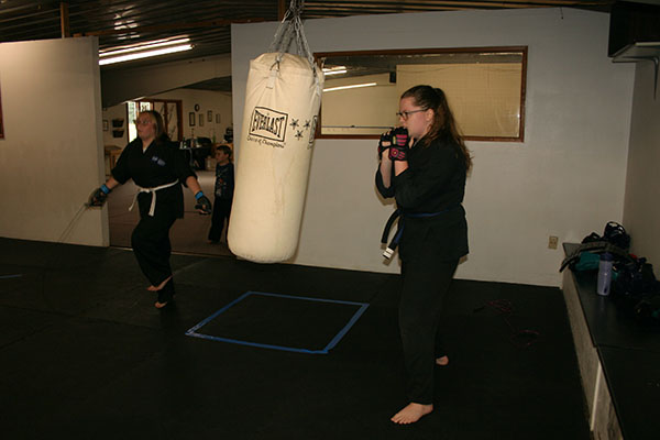 Kempo Karate Adult Class Bag Night Punching and kicking technics