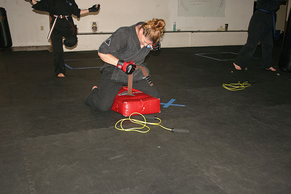 Kempo Karate Adult Class Bag Night Punching and kicking technics