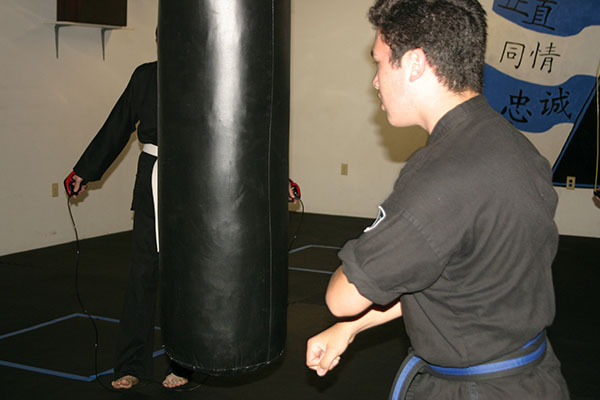 Kempo Karate Adult Class Bag Night Punching and kicking technics