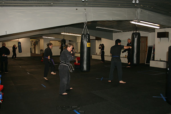 Kempo Karate Adult Class Bag Night Punching and kicking technics