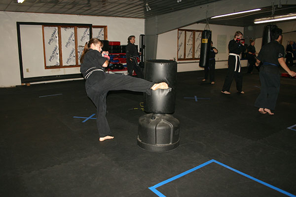 Kempo Karate Adult Class Bag Night Punching and kicking technics