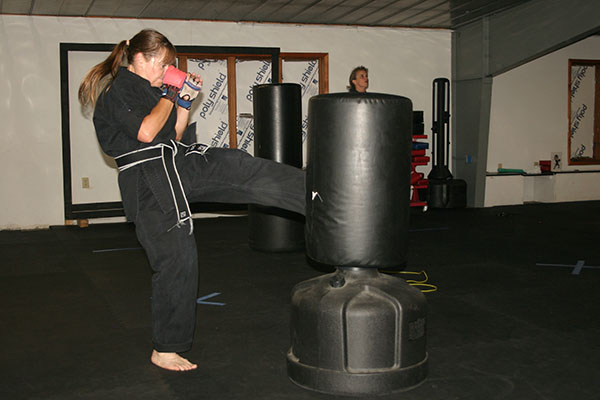 Kempo Karate Adult Class Bag Night Punching and kicking technics