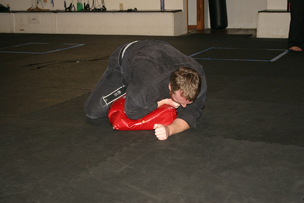 Kempo Karate Adult Class Bag Night Punching and kicking technics
