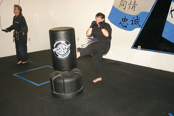 Kempo Karate Adult Class Bag Night Punching and kicking technics