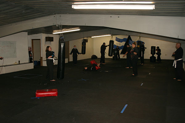 Kempo Karate Adult Class Bag Night Punching and kicking technics