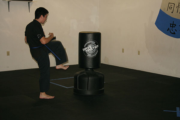 Kempo Karate Adult Class Bag Night Punching and kicking technics