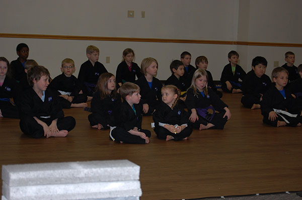 Kempo Karate Christmas Demo