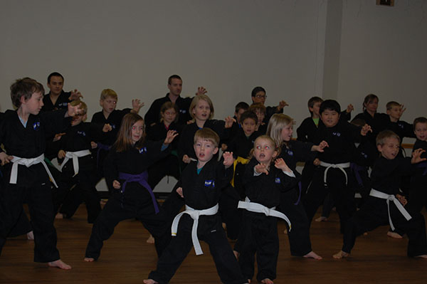 Kempo Karate Christmas Demo