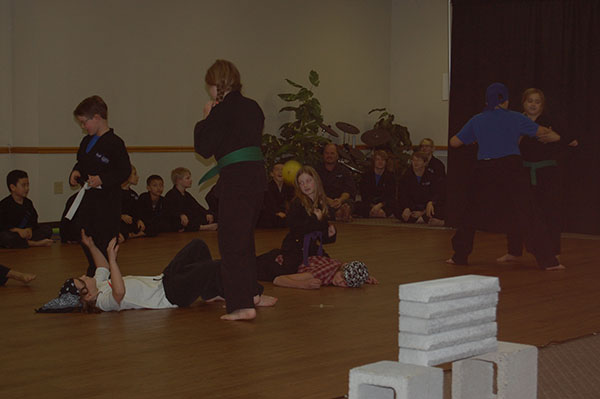 Kempo Karate Christmas Demo