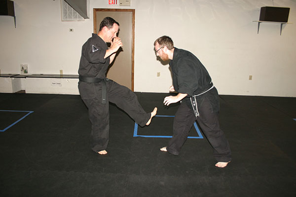 Kempo Karate snap kick