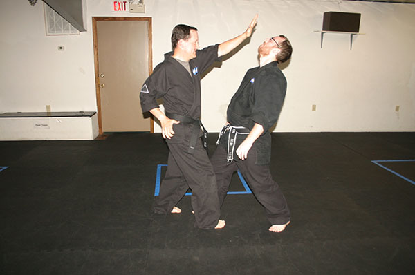 Kempo Karate palm strike